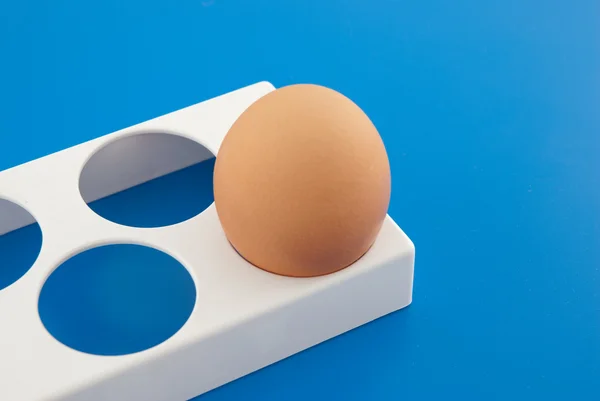 Un huevo — Foto de Stock