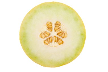 Melon clipart