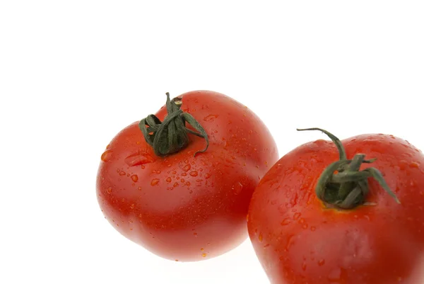 De röda tomaterna — Stockfoto