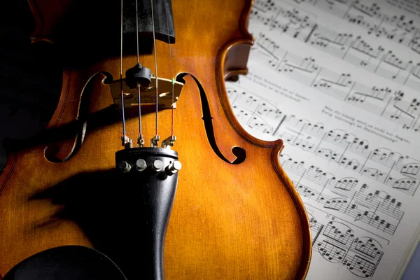 Violino Fotografia De Stock