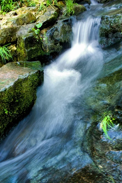 stock image Waterfall in summer forest