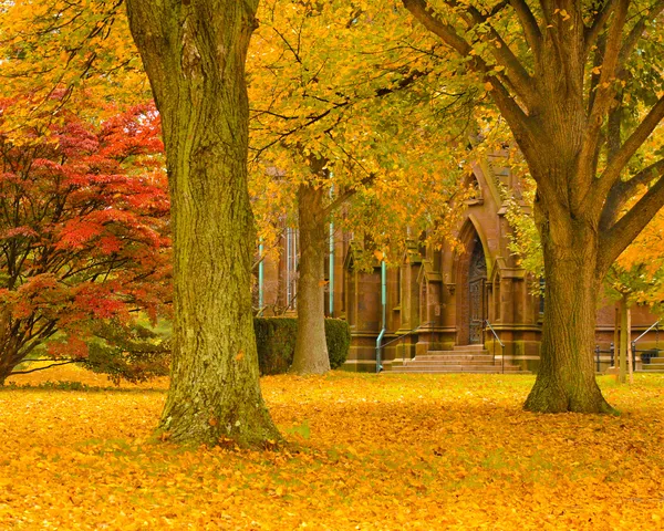 Outono na Catedral — Fotografia de Stock