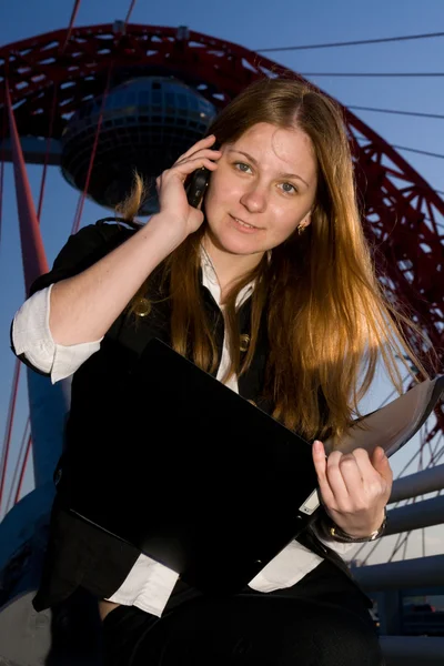 The young attractive businesswoman Stock Image