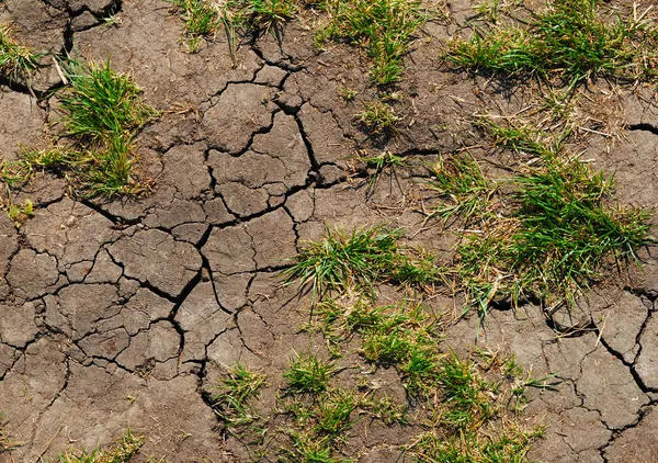 Эрозия почвы — стоковое фото