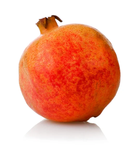 Jeden jednoduchý granátového jablka — Stock fotografie