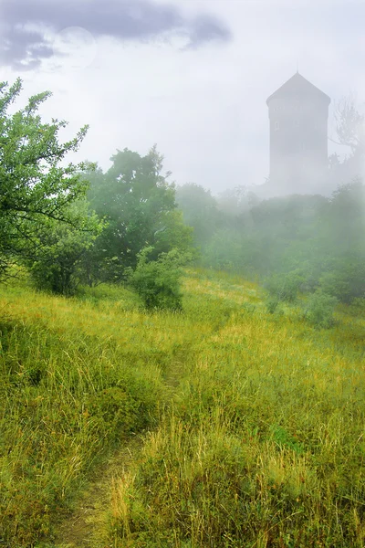 Фантастична вежа в тумані — стокове фото