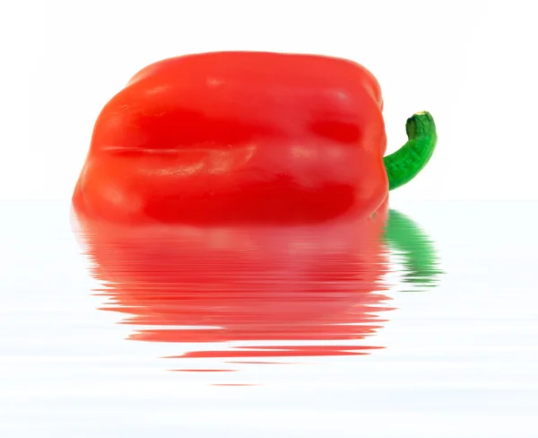 Sweet red pepper reflections — Stock Photo, Image