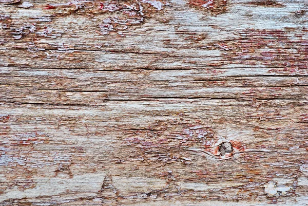 오래 된 버 릇된 나무 — 스톡 사진