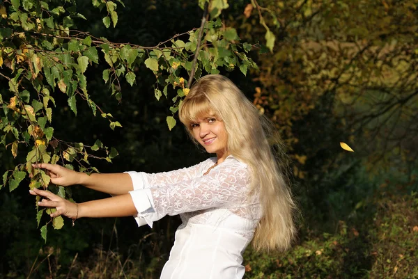 Vrouw in herfst berk bos — Stockfoto
