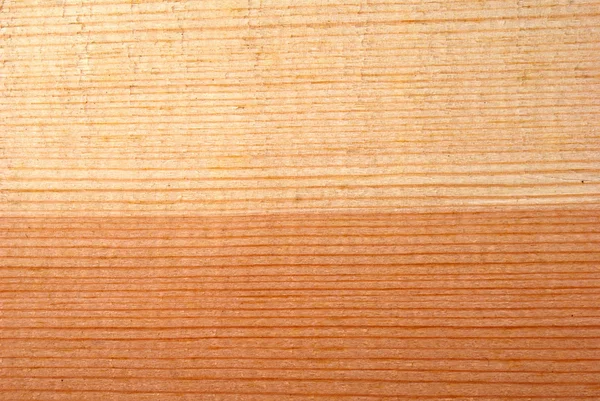 Textura de madeira conífera — Fotografia de Stock