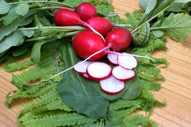 Garden radish clipart