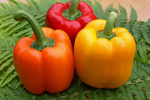 Свиной перец
