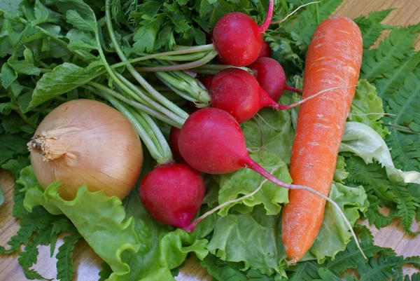 Smakelijk groenten — Stockfoto