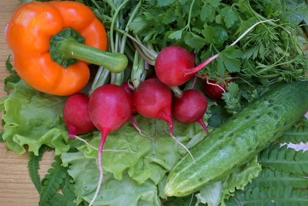 가벼운 야채 간식 — 스톡 사진