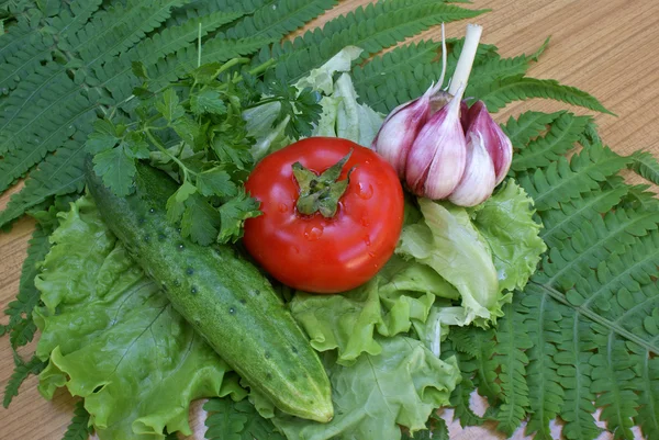 Schmackhafter Gemüse-Snack — Stockfoto