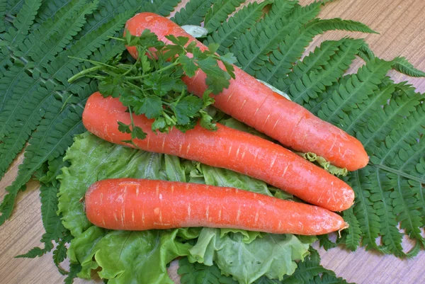 Витамин морковь — стоковое фото