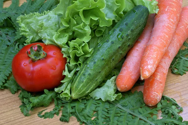 Zöldség snack — Stock Fotó