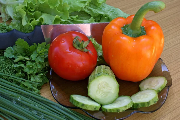 Ízletes tavaszi zöldségekkel — Stock Fotó