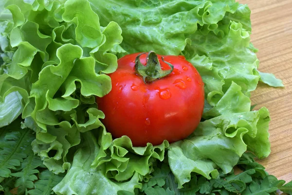 Appetizing red tomato — Stock Photo, Image