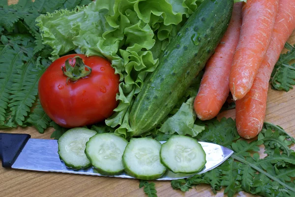 Appetitoso verdure — Foto Stock