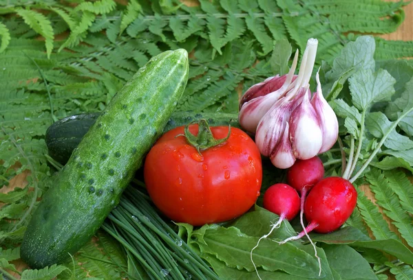 Alimentos vegetales — Foto de Stock
