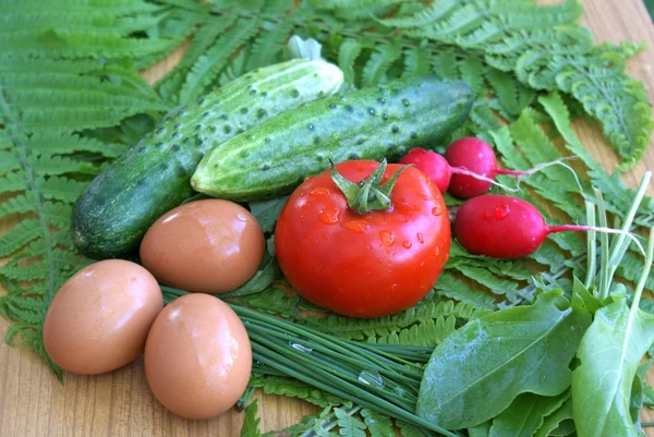 Закуски из овощей — стоковое фото