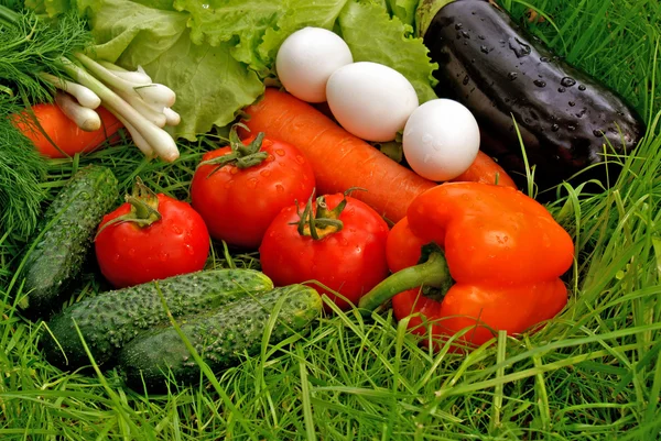 Aptitretande ljus grönsaker mellanmål — Stockfoto