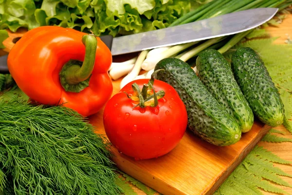 Aperitivo verduras ligeras snack —  Fotos de Stock