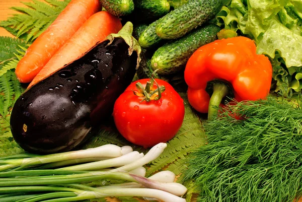 Аппетитные легкие овощи — стоковое фото
