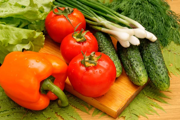 Chutný lehký zelenina svačina — Stock fotografie