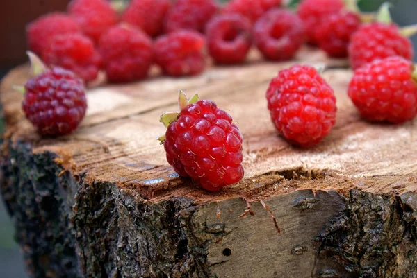 stock image Ripe appetizing raspberry