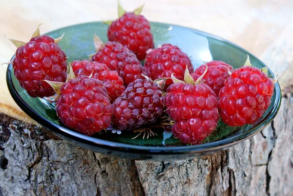 Ripe appetizing raspberry — Stock Photo, Image