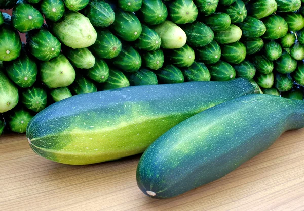 Oblong marrow and green cucumbe — Stock Photo, Image