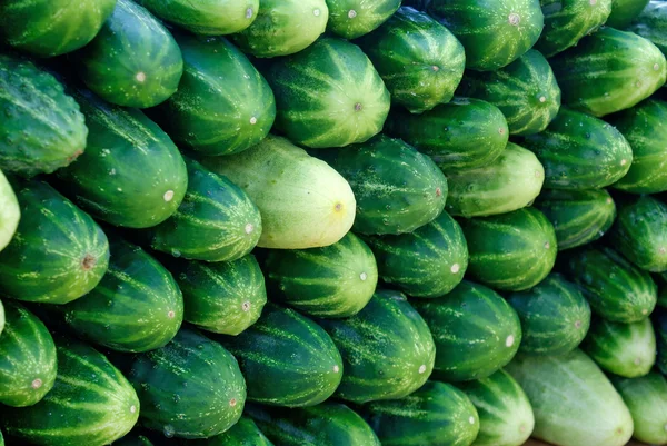 Makeup appetizing palatable green cucumber — Stock Photo, Image