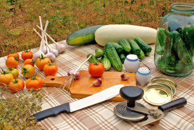 Preservation appetizing summer vegetables clipart