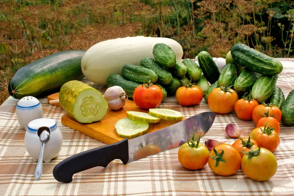 Апетитні закуски овочеві — стокове фото