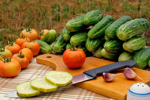 Aptitretande grönsaker — Stockfoto