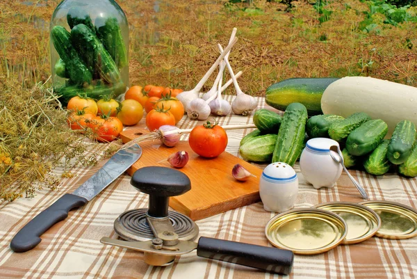 Conservación apetitosas verduras de verano —  Fotos de Stock