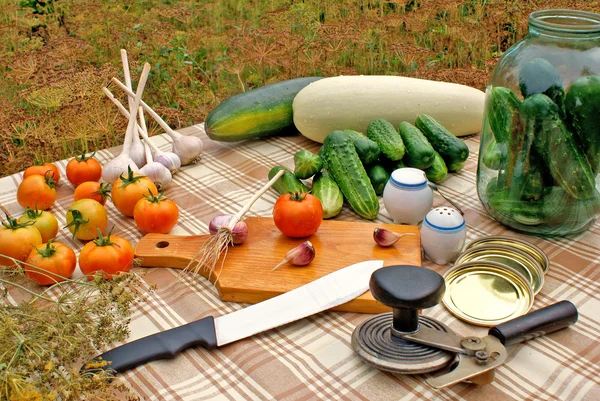 Сохранение аппетитных летних овощей — стоковое фото