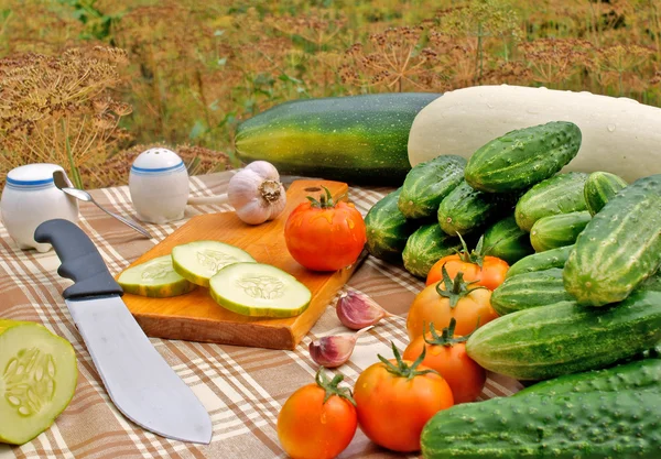 Aperitivo vegetal apetitoso —  Fotos de Stock