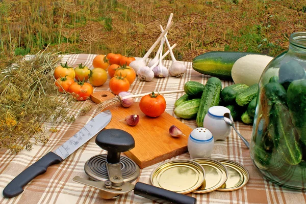 保存开胃夏季蔬菜 免版税图库图片
