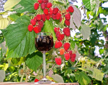 Raspberry wine clipart