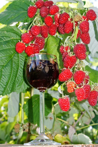 stock image Fortified raspberry wine