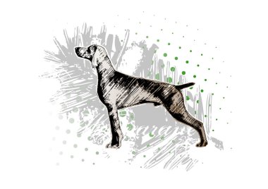 Hunting dog clipart