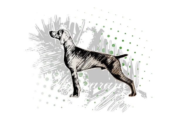 Lovecký pes — Stockový vektor