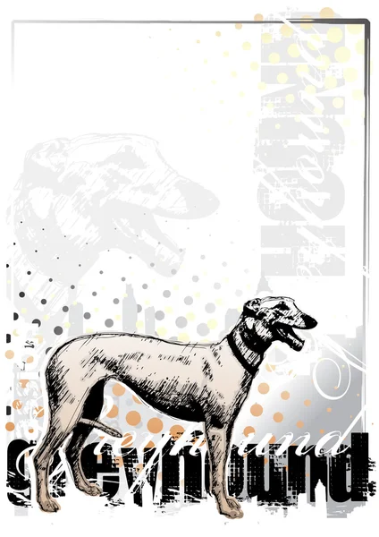 Greyhound background 2 — Stock Vector