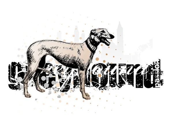 Greyhound 2 — Stock Vector