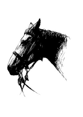 Horse clipart