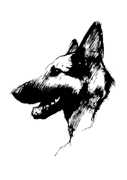 Pastor alemán perro — Archivo Imágenes Vectoriales