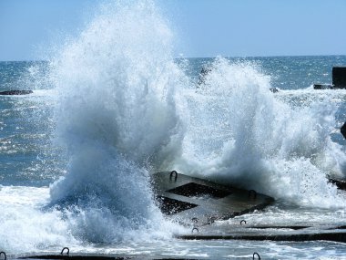 Storm on the sea. clipart